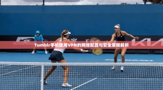 Tumblr手机使用VPN的网络配置与安全策略解析