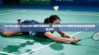 PandoraBox OpenWrt插件深度解析，如何通过VPN插件实现安全高效的网络访问