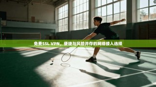 免费SSL VPN，便捷与风险并存的网络接入选择