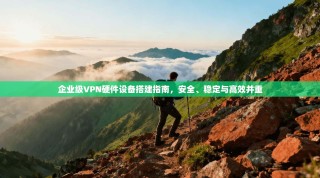 企业级VPN硬件设备搭建指南，安全、稳定与高效并重
