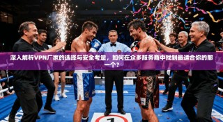 深入解析VPN厂家的选择与安全考量，如何在众多服务商中找到最适合你的那一个？