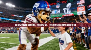 全球VPN使用指南，如何安全、合法地访问境外网络资源