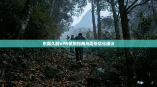 东莞久游VPN使用指南与网络优化建议