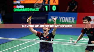 舰C VPN背后的网络技术解析与合规使用指南