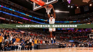 Switch连接VPN的配置与实践，从基础到高级应用指南