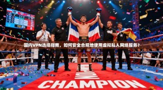 国内VPN选择指南，如何安全合规地使用虚拟私人网络服务？