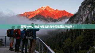 野兔VPN，安全与隐私的兔子洞还是数字陷阱？