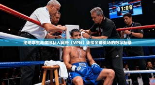 绝地求生与虚拟私人网络（VPN）连接全球战场的数字桥梁