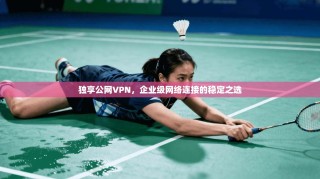 独享公网VPN，企业级网络连接的稳定之选