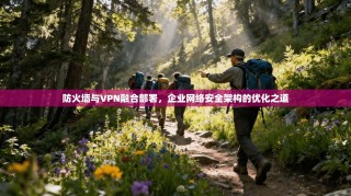 防火墙与VPN融合部署，企业网络安全架构的优化之道