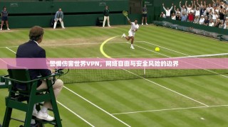 警惕伤害世界VPN，网络自由与安全风险的边界