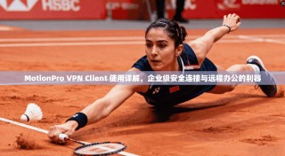 MotionPro VPN Client 使用详解，企业级安全连接与远程办公的利器