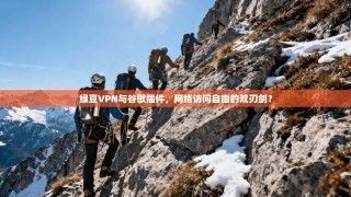 绿豆VPN与谷歌插件，网络访问自由的双刃剑？