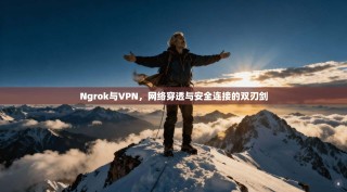 Ngrok与VPN，网络穿透与安全连接的双刃剑