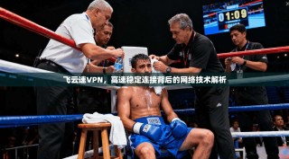 飞云速VPN，高速稳定连接背后的网络技术解析