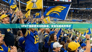 VPN下载收费背后的真相，安全与成本的博弈