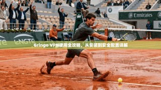 Gringo VPN使用全攻略，从安装到安全配置详解