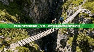 VTOM VPN技术解析，安全、高效与未来网络连接的新选择