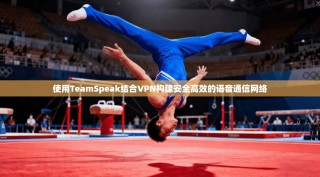 使用TeamSpeak结合VPN构建安全高效的语音通信网络
