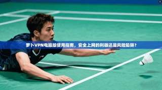 萝卜VPN电脑版使用指南，安全上网的利器还是风险陷阱？