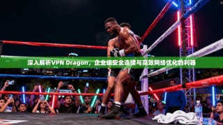 深入解析VPN Dragon，企业级安全连接与高效网络优化的利器