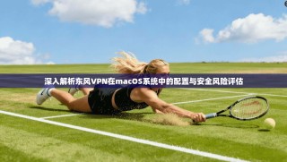 深入解析东风VPN在macOS系统中的配置与安全风险评估