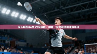 深入解析GoM VPN插件，功能、安全与使用注意事项