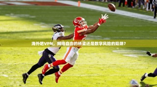 海外吧VPN，网络自由的桥梁还是数字风险的陷阱？