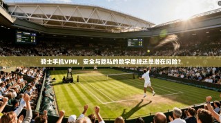 骑士手机VPN，安全与隐私的数字盾牌还是潜在风险？
