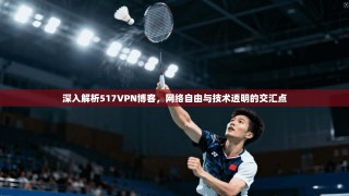深入解析517VPN博客，网络自由与技术透明的交汇点
