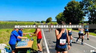 动态VPN解决方案，构建灵活、安全的企业网络连接新范式