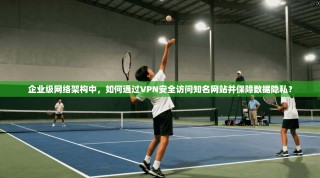 企业级网络架构中，如何通过VPN安全访问知名网站并保障数据隐私？