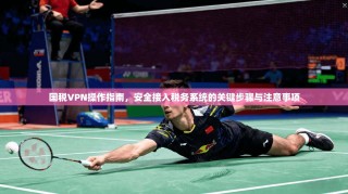 国税VPN操作指南，安全接入税务系统的关键步骤与注意事项