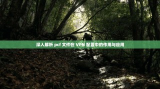 深入解析 pcf 文件在 VPN 配置中的作用与应用