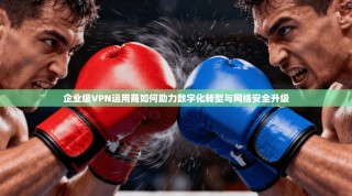 企业级VPN运用商如何助力数字化转型与网络安全升级