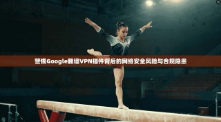 警惕Google翻墙VPN插件背后的网络安全风险与合规隐患