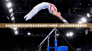 企业级网络架构中如何安全合规地使用VPN服务—从需求到部署的全面指南