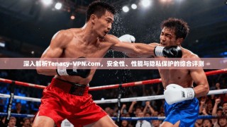 深入解析Tenacy-VPN.com，安全性、性能与隐私保护的综合评测