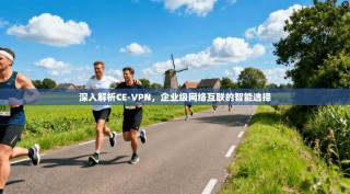 深入解析CE-VPN，企业级网络互联的智能选择