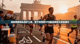 揭秘网络隐私保护工具，寅子常用的VPN服务解析与安全建议