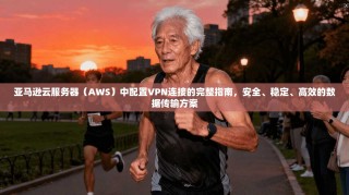 亚马逊云服务器（AWS）中配置VPN连接的完整指南，安全、稳定、高效的数据传输方案