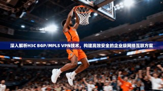 深入解析H3C BGP/MPLS VPN技术，构建高效安全的企业级网络互联方案