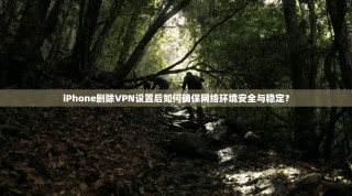 iPhone删除VPN设置后如何确保网络环境安全与稳定？