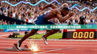 西部数码VPN服务深度解析，企业级网络连接的可靠选择