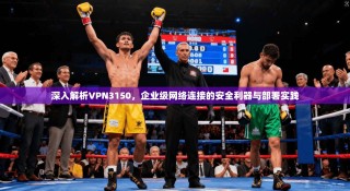 深入解析VPN3150，企业级网络连接的安全利器与部署实践