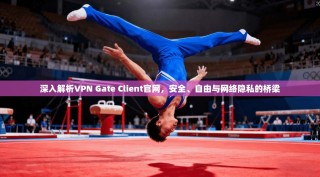 深入解析VPN Gate Client官网，安全、自由与网络隐私的桥梁