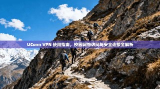 UConn VPN 使用指南，校园网络访问与安全连接全解析