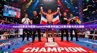 CentOS系统中配置OpenVPN服务的端口设置详解与优化策略