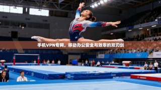 手机VPN专网，移动办公安全与效率的双刃剑