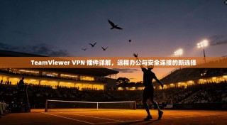 TeamViewer VPN 插件详解，远程办公与安全连接的新选择